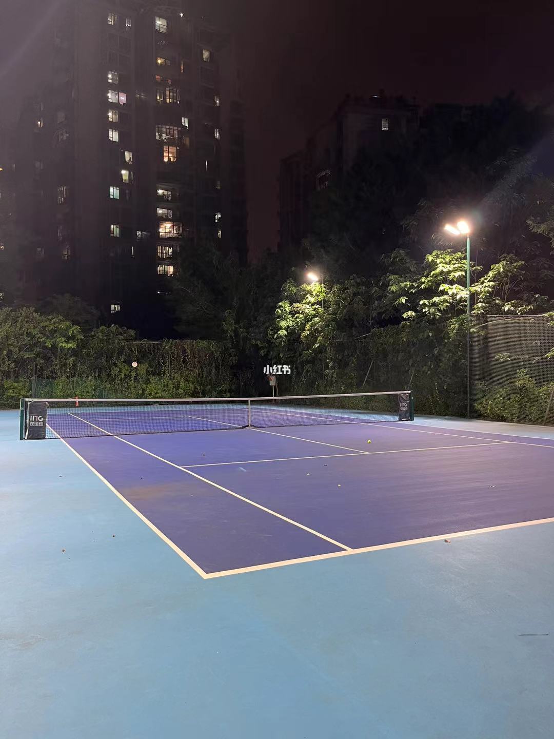 世纪绿洲网球场（植物园）网球场照片2。世纪绿洲网球场（植物园）位于广东省广州市天河区品翠街31号(世纪绿洲小区内)，可在网球地图查看广州市网球场订场方式。提供硬地场、室外场等场地。场馆设施包括可租球、可租拍、停车方便、饮料售卖。参考起价50元/小时…