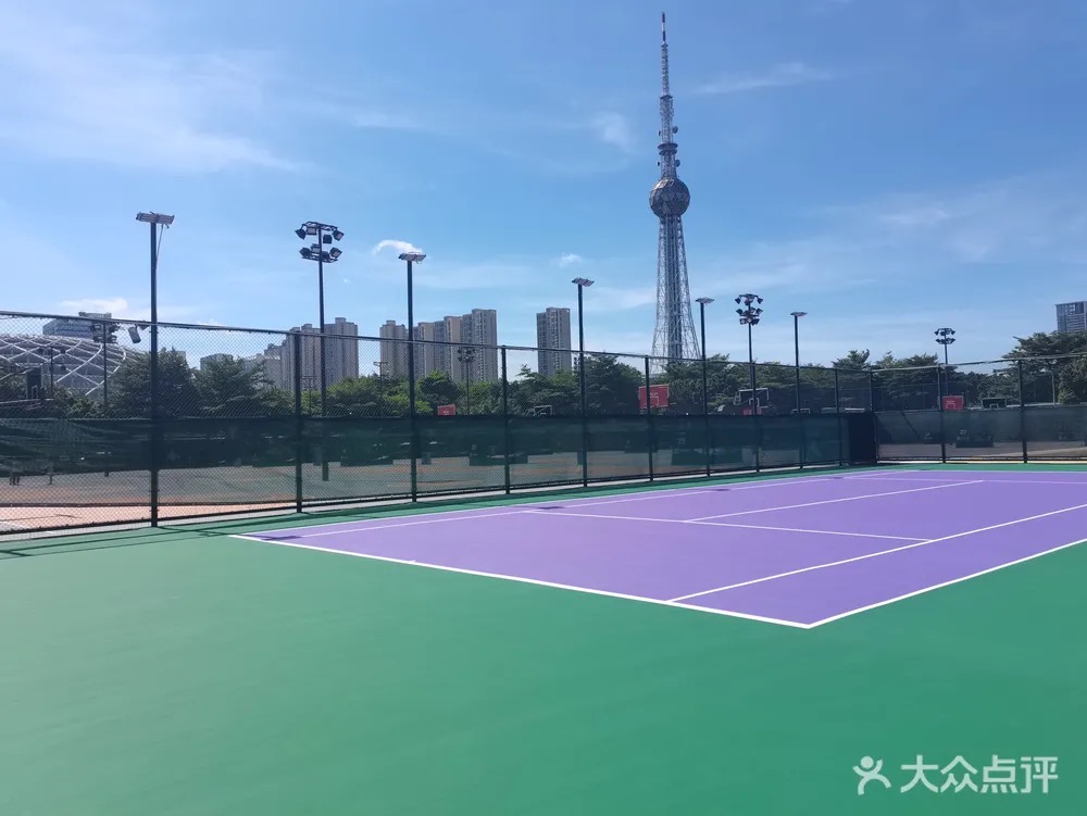 维尼网球学院(岭南明珠校区)位于广东省佛山市禅城区文华北路243号，可在网球地图查看佛山市网球场订场方式。提供室外场、硬地场等场地。场馆设施包括洗手间、饮料售卖、停车方便、沐浴间。参考起价60元/小时起。