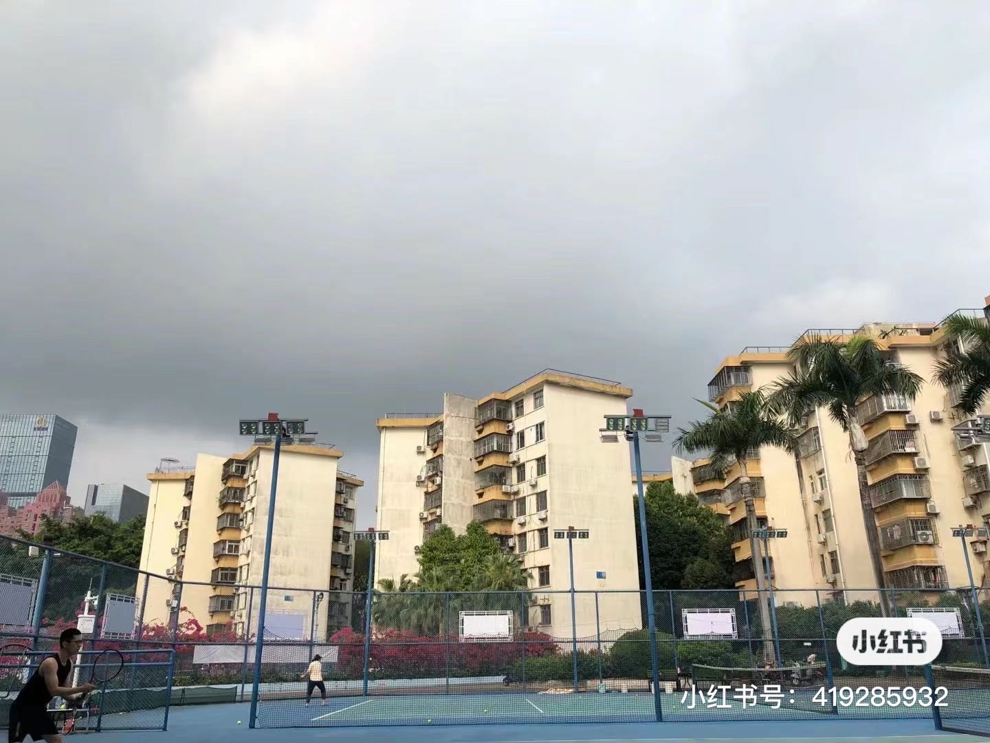 莲花二村网球馆位于广东省深圳市福田区莲心路莲花二村(莲花村地铁站C2口步行320米)，可在网球地图查看深圳市网球场订场方式。提供室外场、硬地场等场地。场馆设施包括可租球、发球机、洗手间。参考起价80元/小时起。